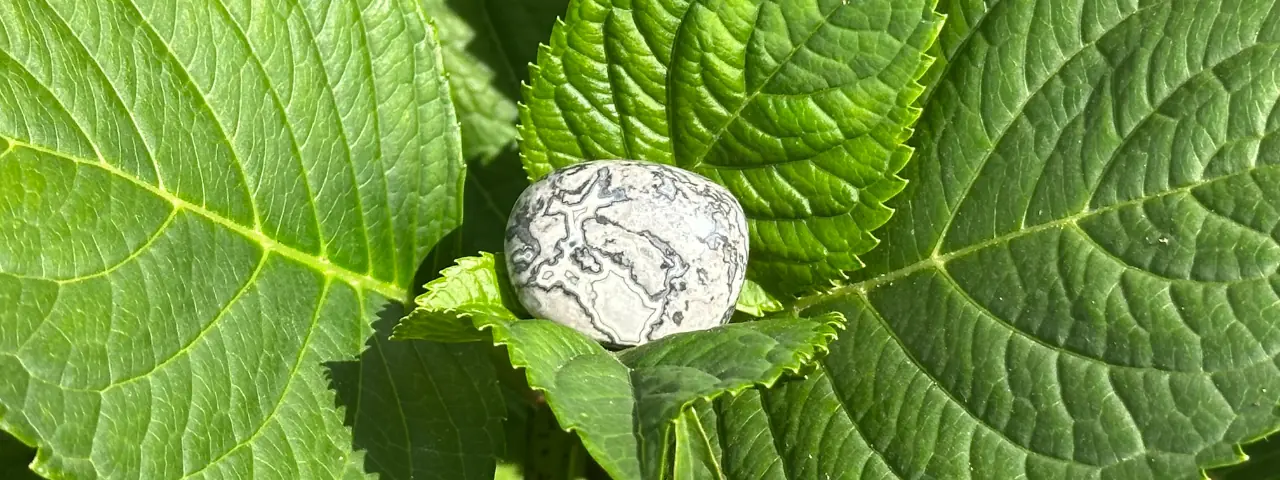 Agate crazy lace grise roulée sur une feuille