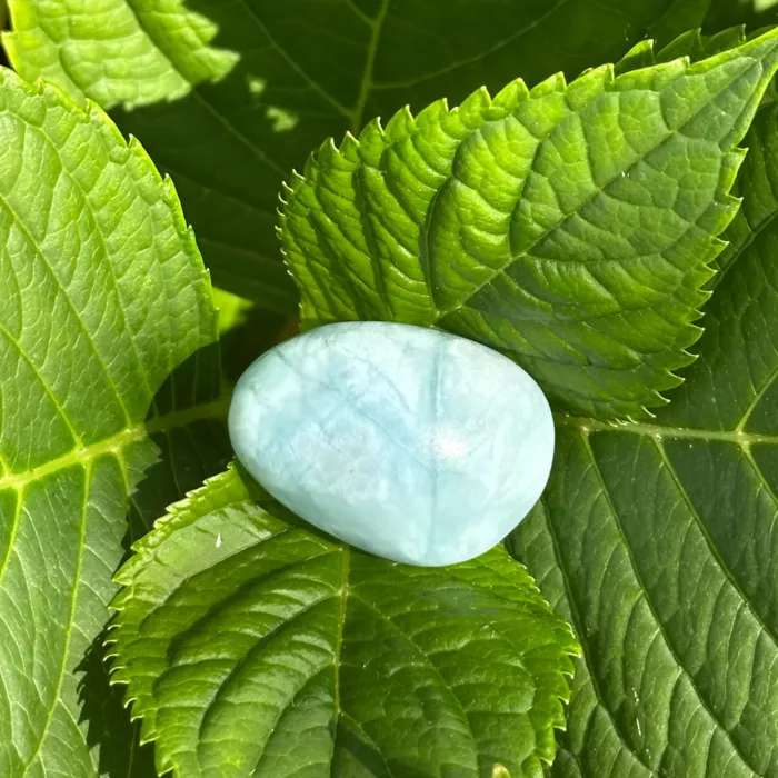 Aigue marine roulée sur une plante