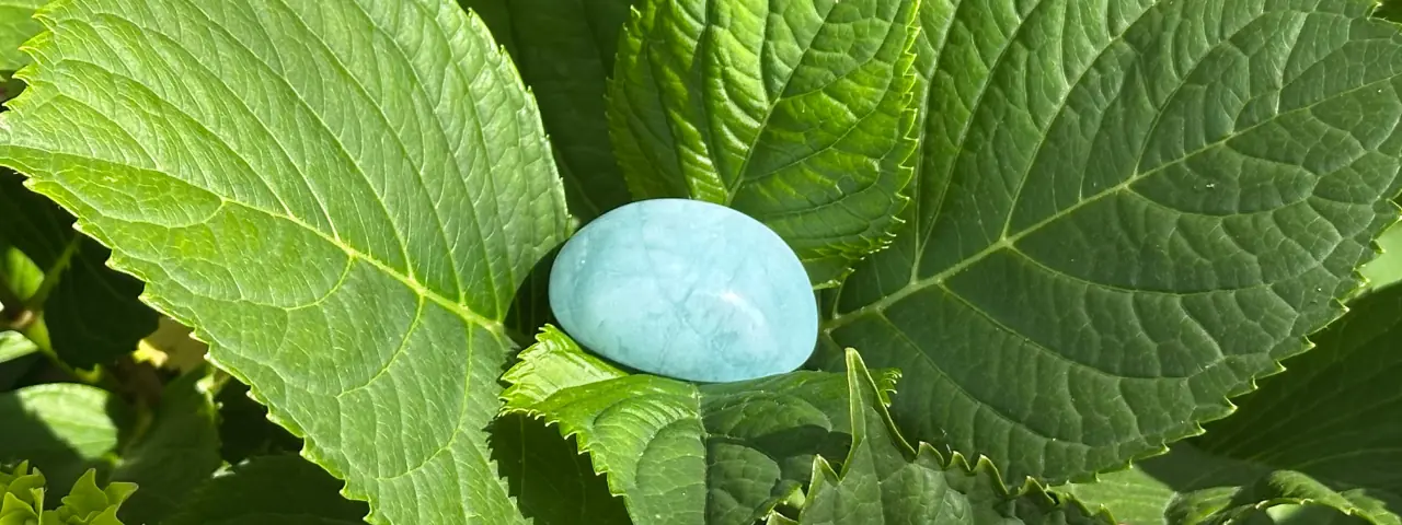 Aigue marine roulée sur une plante verte