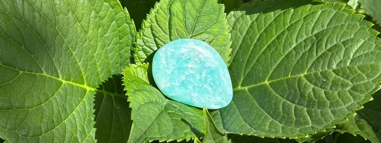 amazonite sur des feuilles