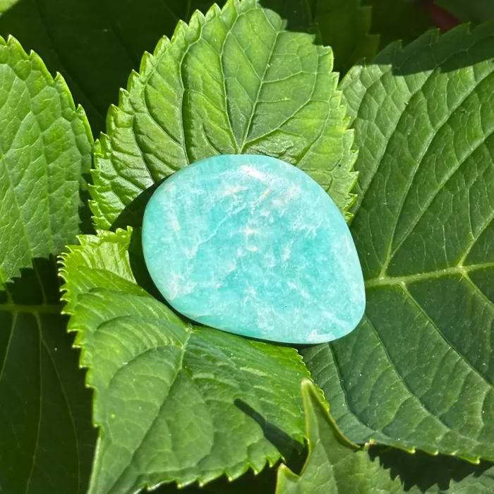 Une amazonite posée sur des feuilles