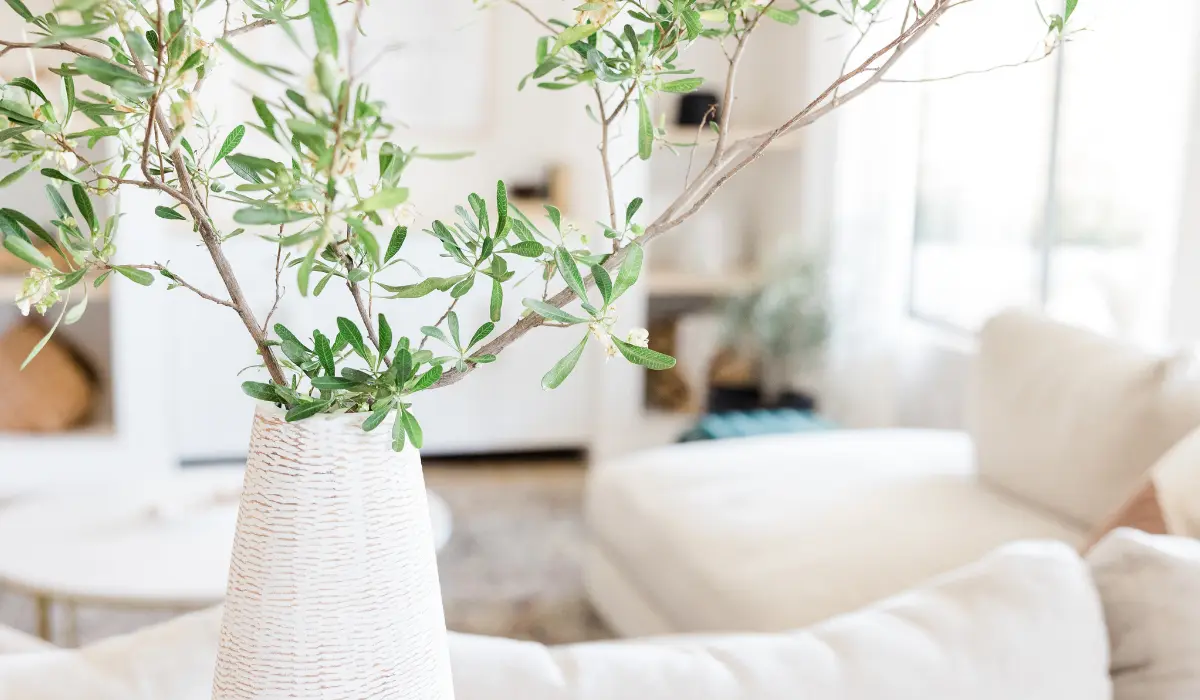 Plante dans un intérieur zen