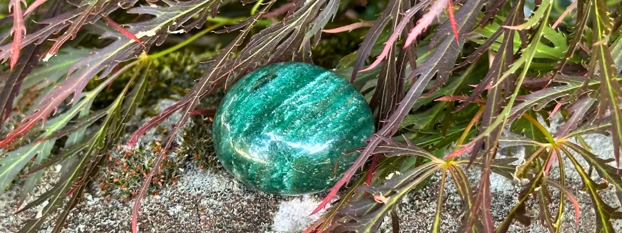 Aventurine verte dans un jardin