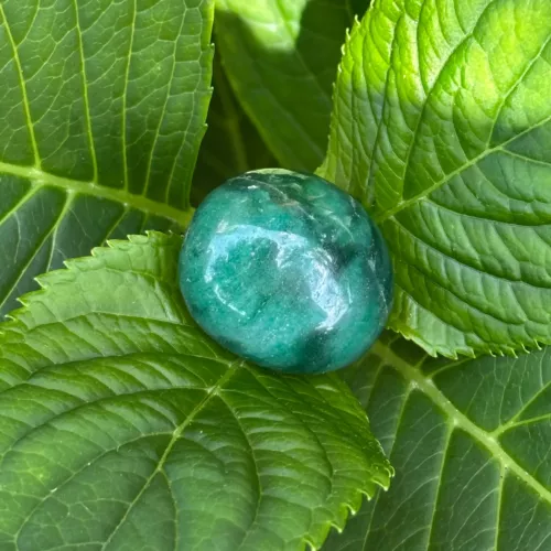 Aventurine verte sur une feuille
