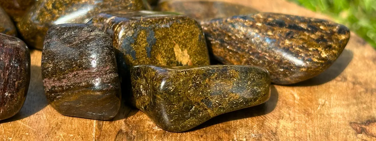 Bronzite sur un bloc de bois