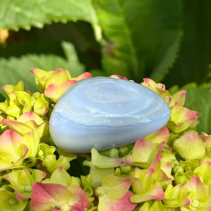 Calcédoine bleue roulée sur une plante