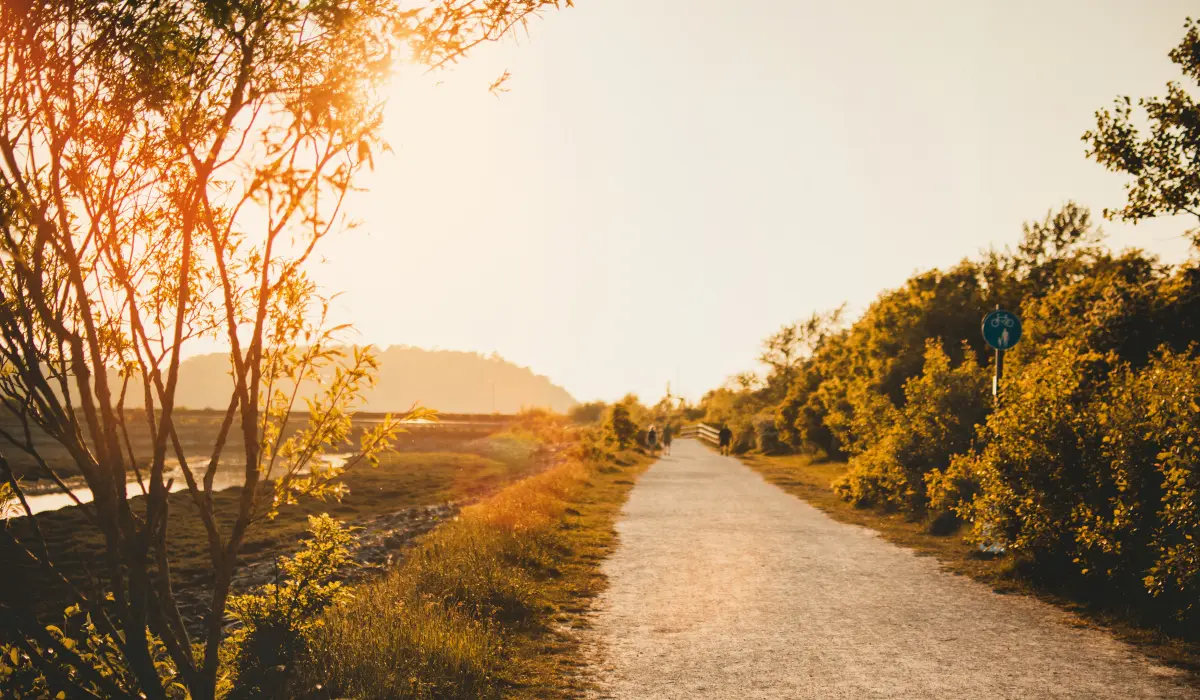 Un chemin près d'un canal, au couché du soleil, évoquant le chemin de vie