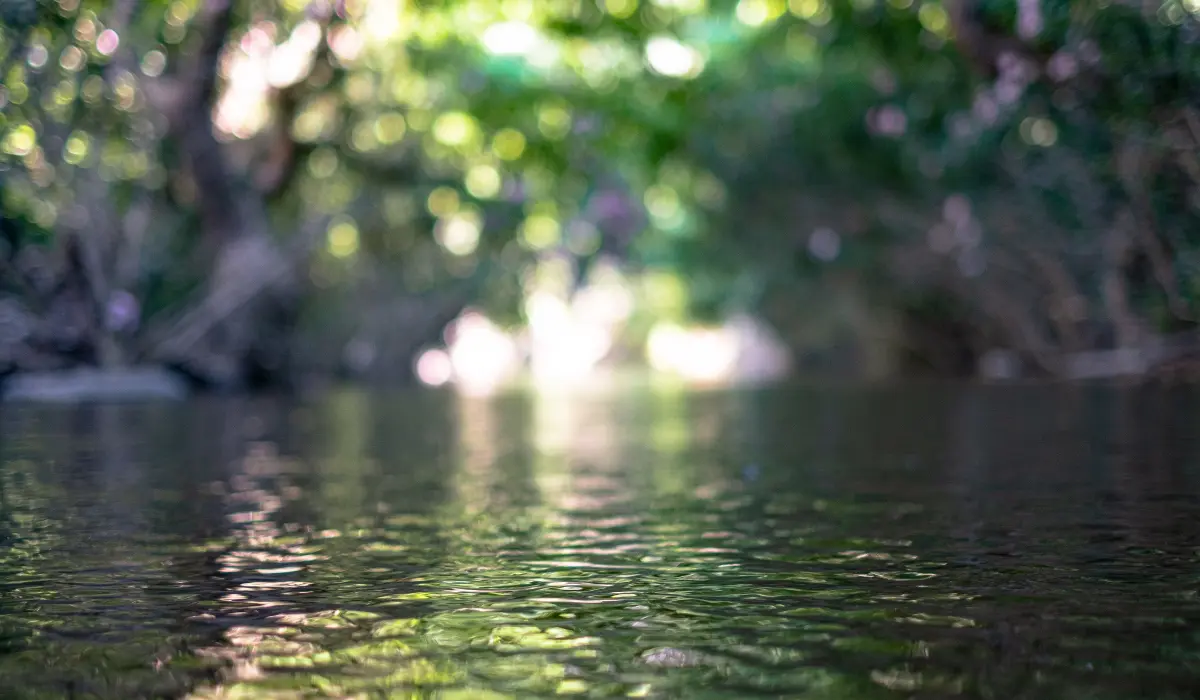 Cultiver la patience, illustrée par une eau apaisante