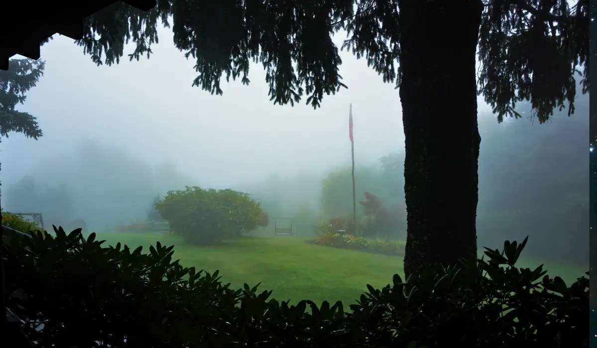 Brouillard sur la campagne pour illustrer l'incertitude