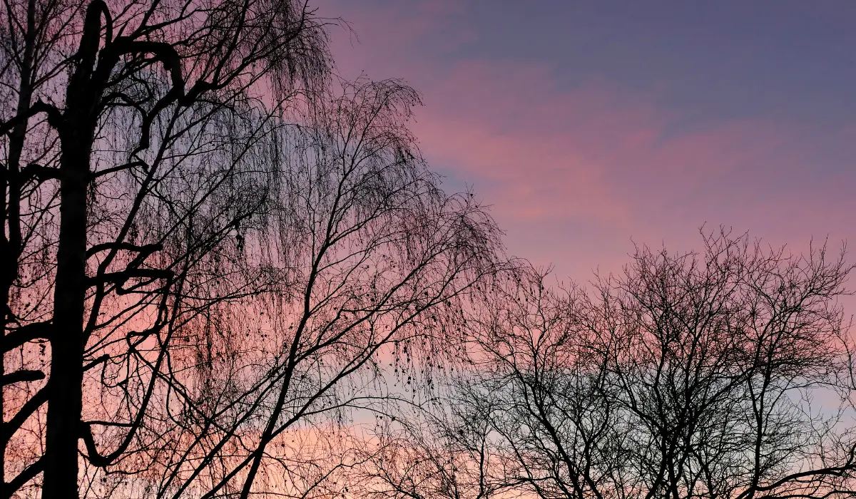 Ciel rose du crépuscule marquant l'intention