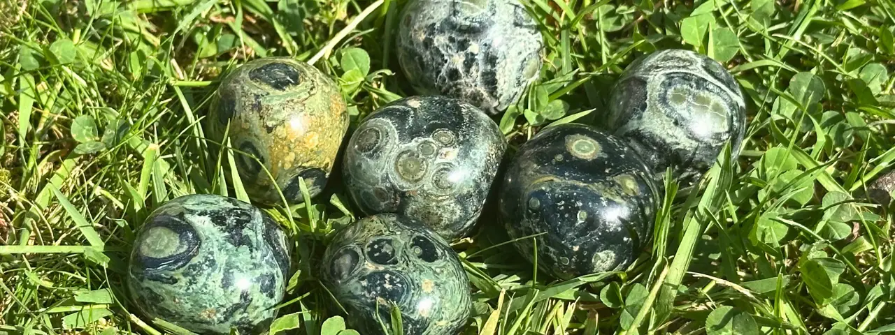 Jaspe kambaba dans l'herbe