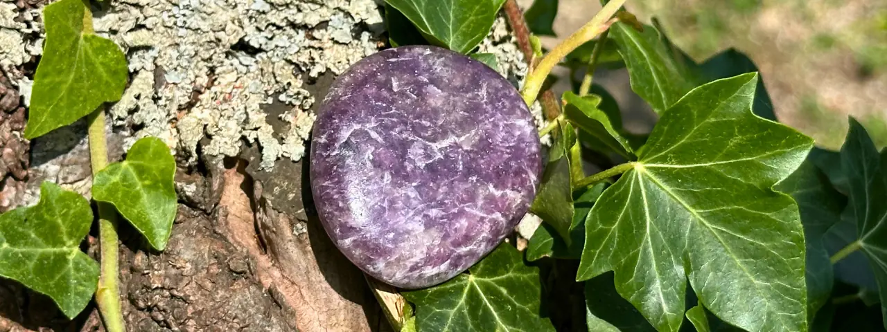 Lépidolite dans un arbre