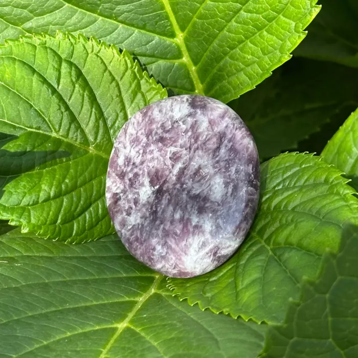 Lépidolite en gros plan, posé sur une plante verte