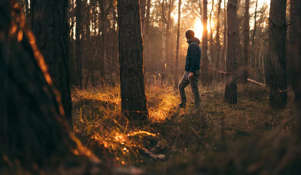Marcher pour méditer dans les bois