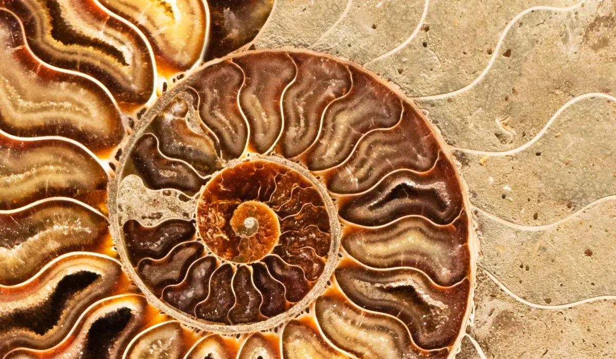 Représente l'harmonie de 1 en numérologie