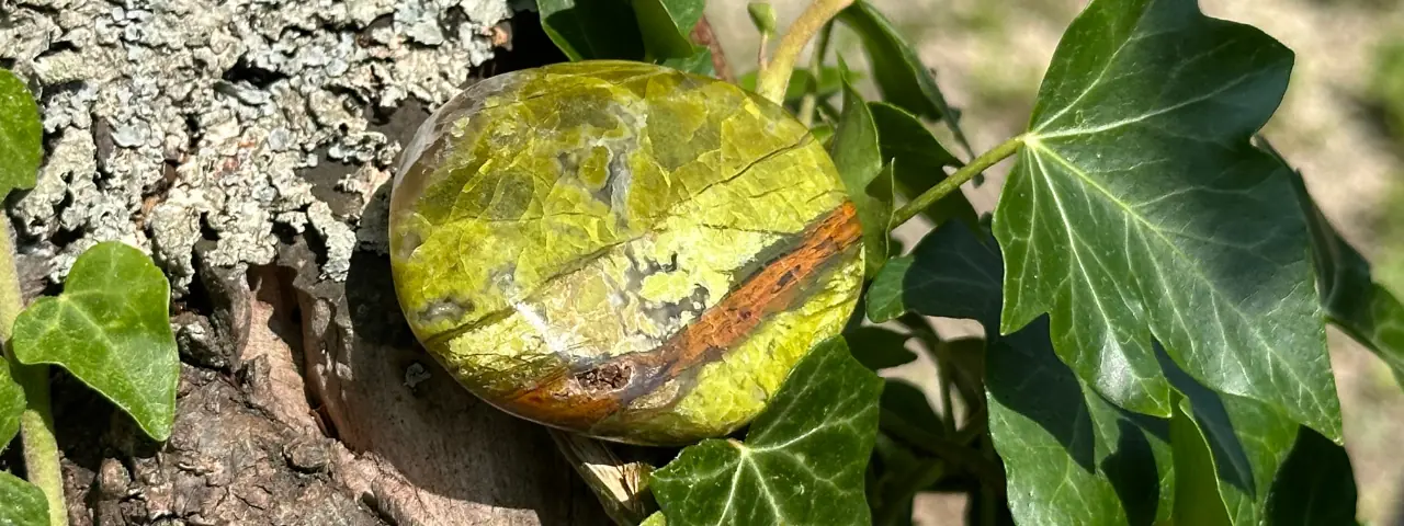 Opale verte dans un arbre