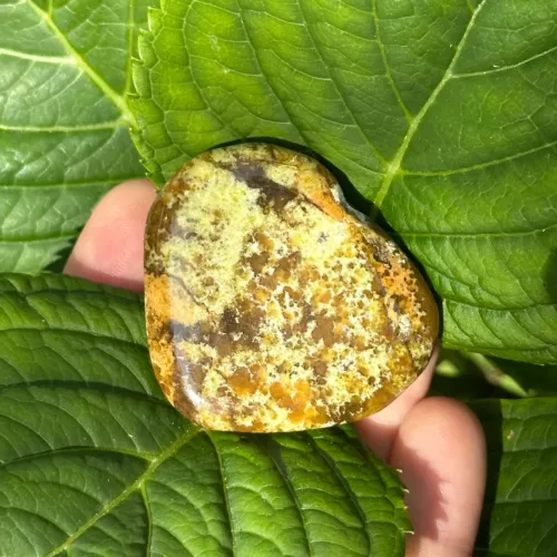 Opale verte sur une plante verte