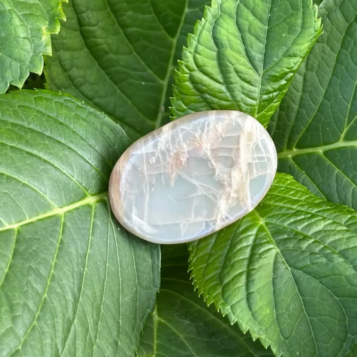 Pierre de lune posée sur une feuille