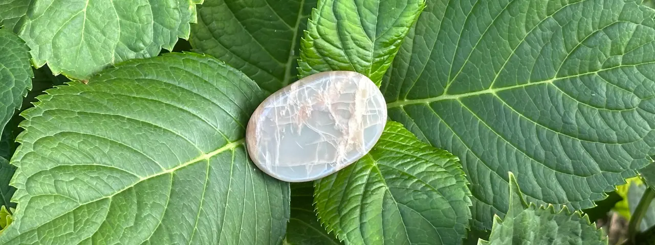 Pierre de lune sur une feuille