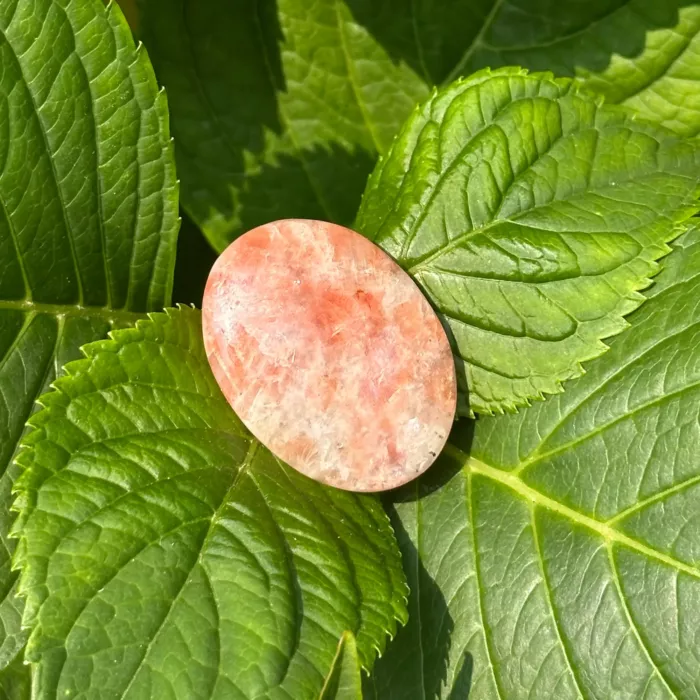 Galet anti-stress en pierre de soleil sur une plante