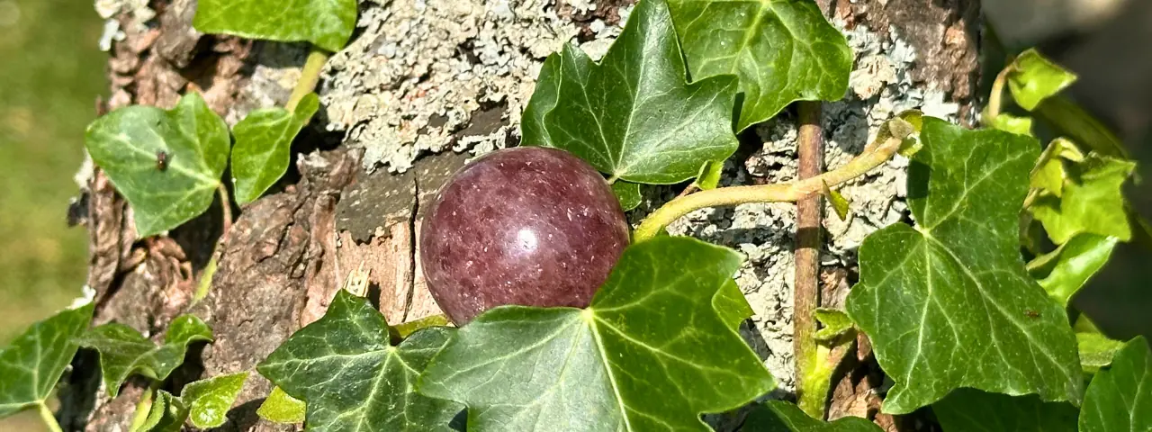 Quartz fraise dans un arbre