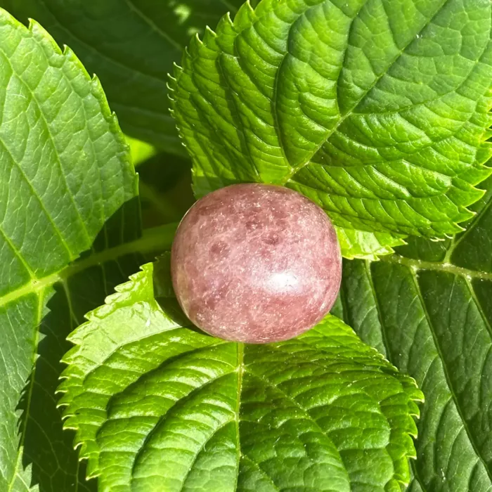 Quartz fraise sur une plante