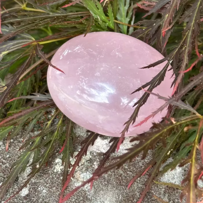 Quartz rose galet dans un jardin, en très gros plan