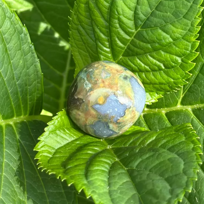 Rhyolite en très gros plan posé sur une plante