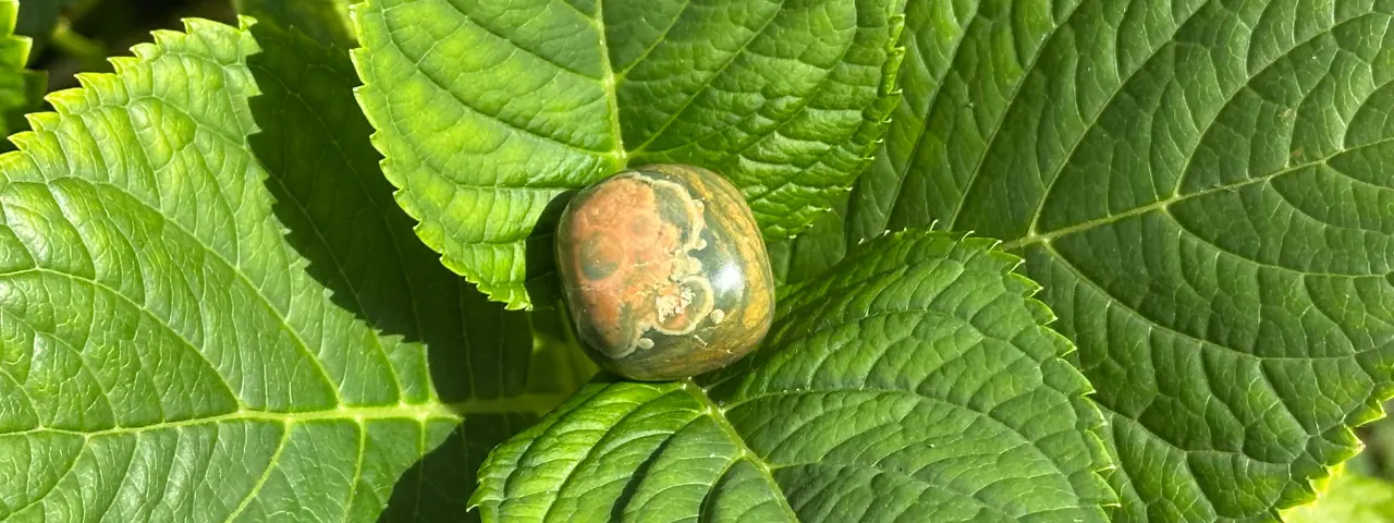 Rhyolite sur une feuille