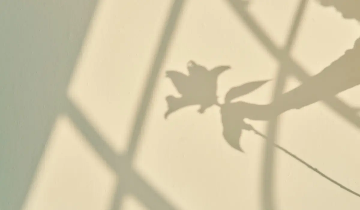 Lumière zen sur un mur 
