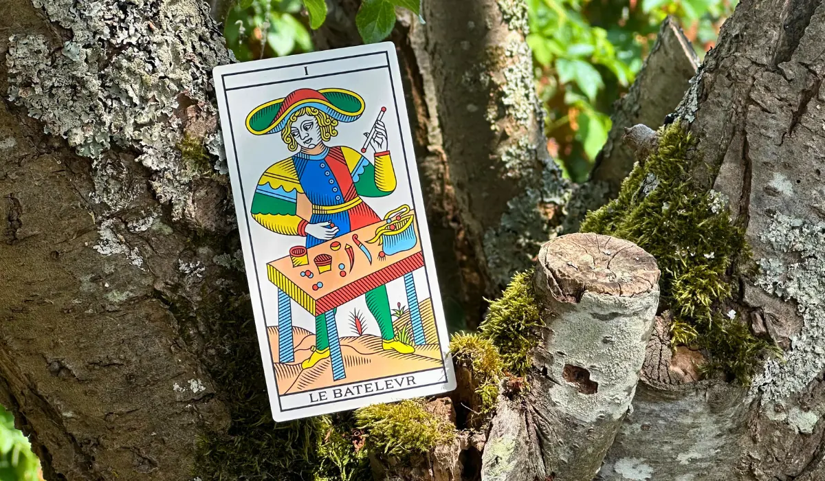 Le Bateleur, arcane du Tarot de Marseille, dans un arbre