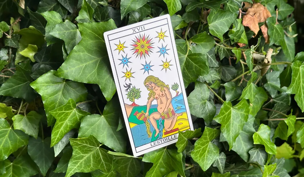 L'arcane de l'étoile, dans le lierre