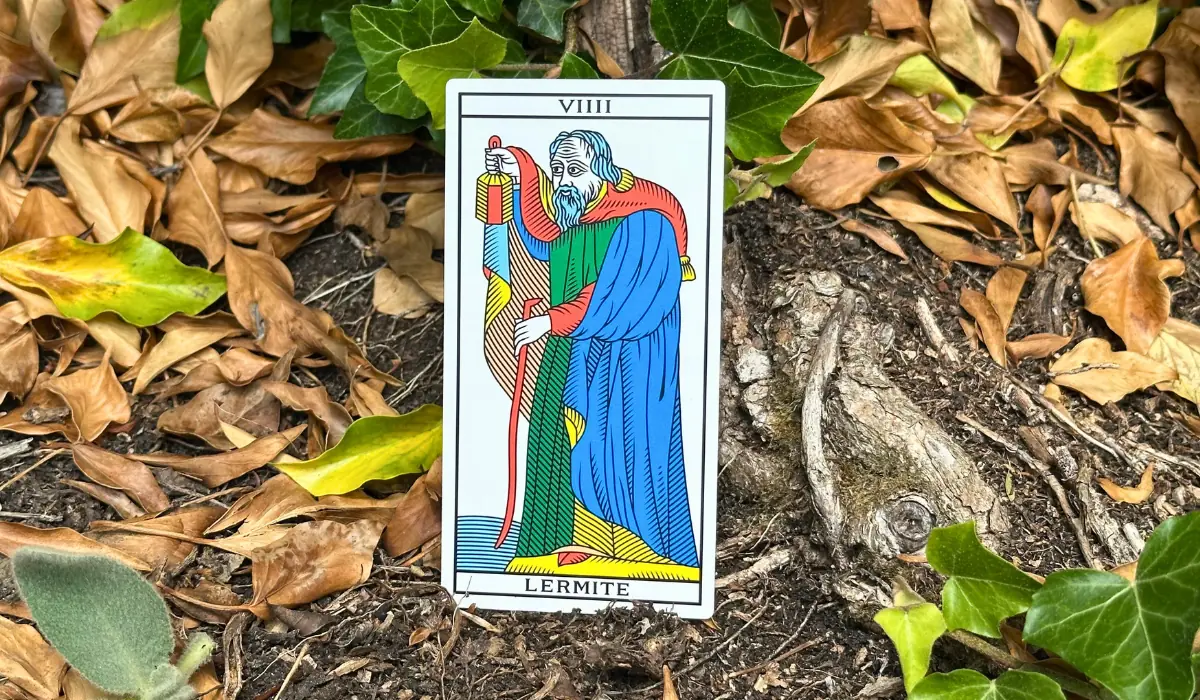 L'Hermite du Tarot de Marseille posé dans le lierre
