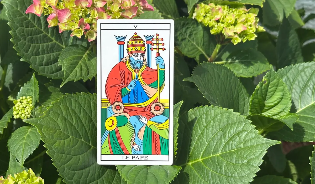 L'arcane du Pape, posé dans un hortensia