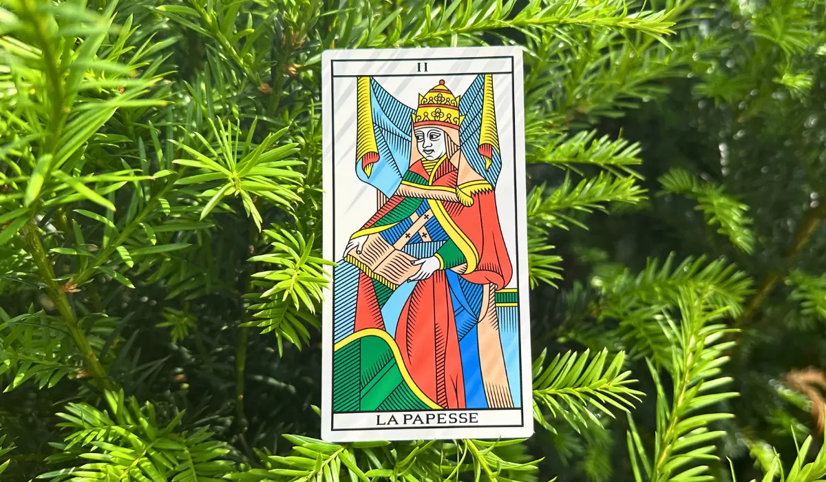 Arcane de la Papesse, dans un sapin