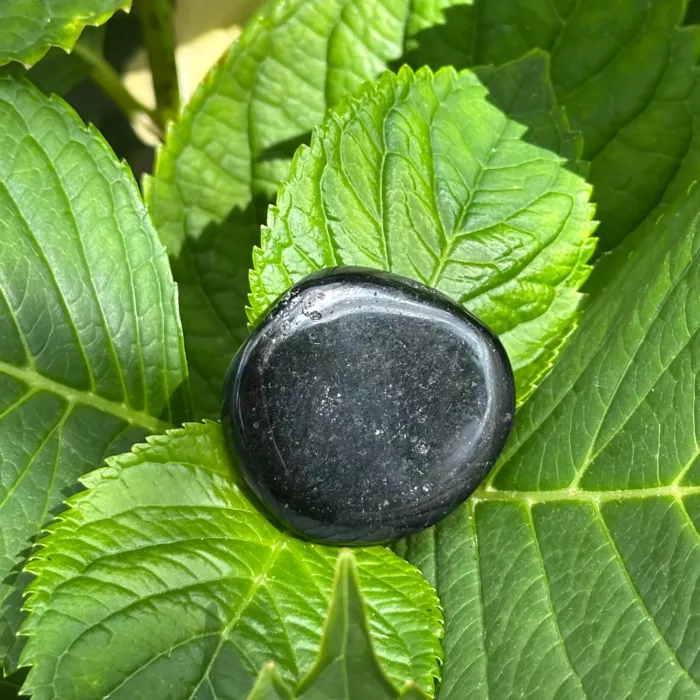 Tourmaline plate sur une feuille