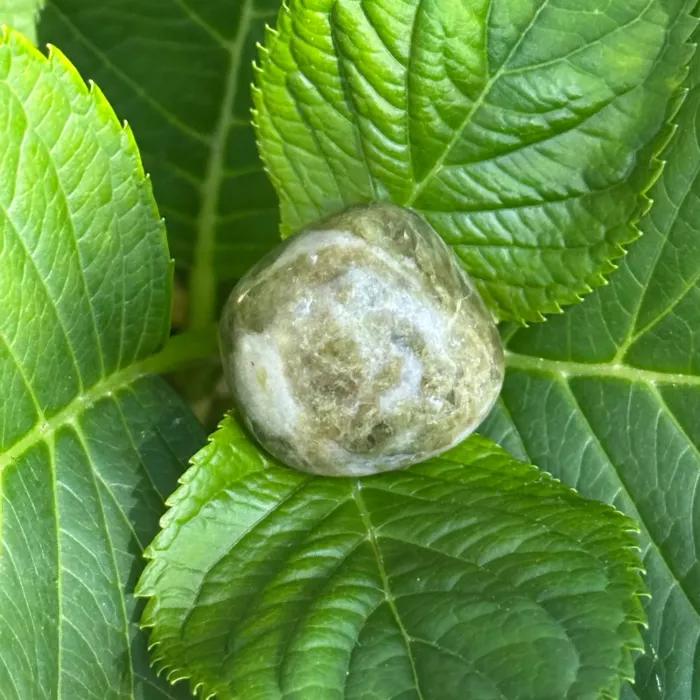 Vésuvianite roulée sur une feuille