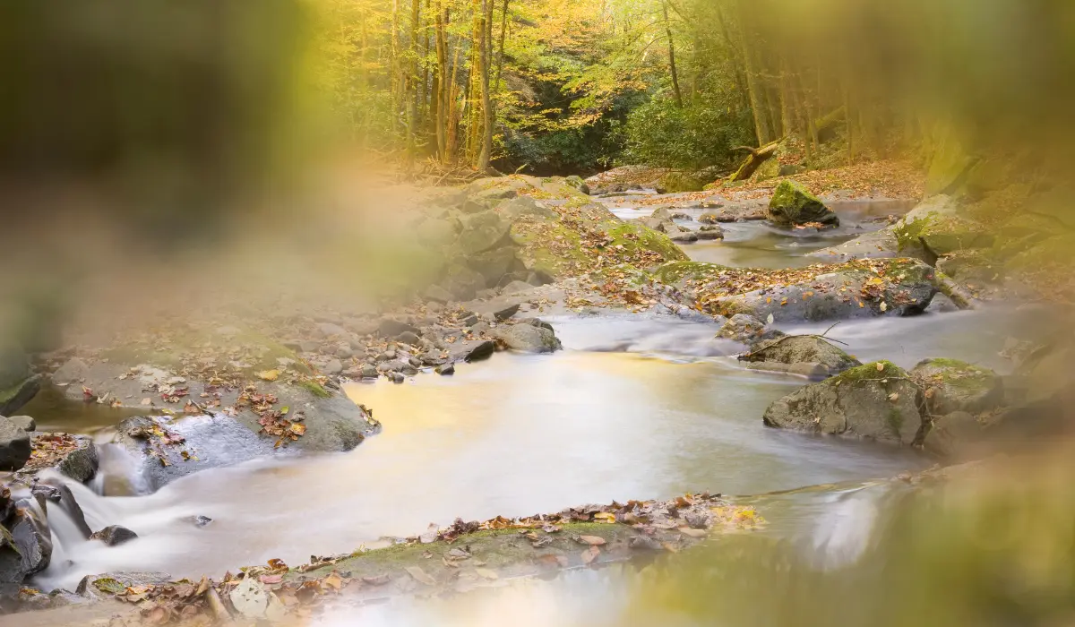 Cours d'eau, illustrant la vibration