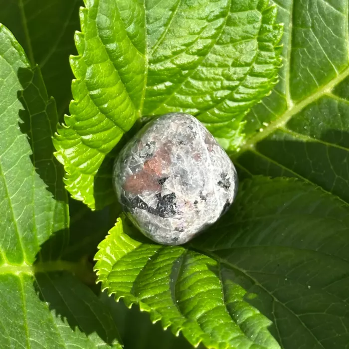 Yooperlite sur une feuille de bois