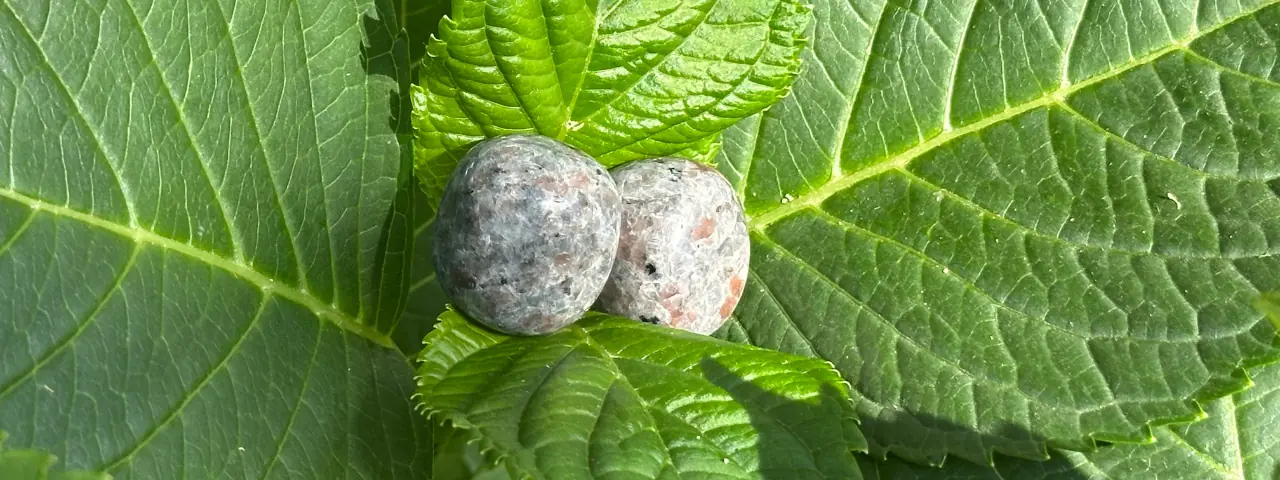 Yooperlite sur une feuille