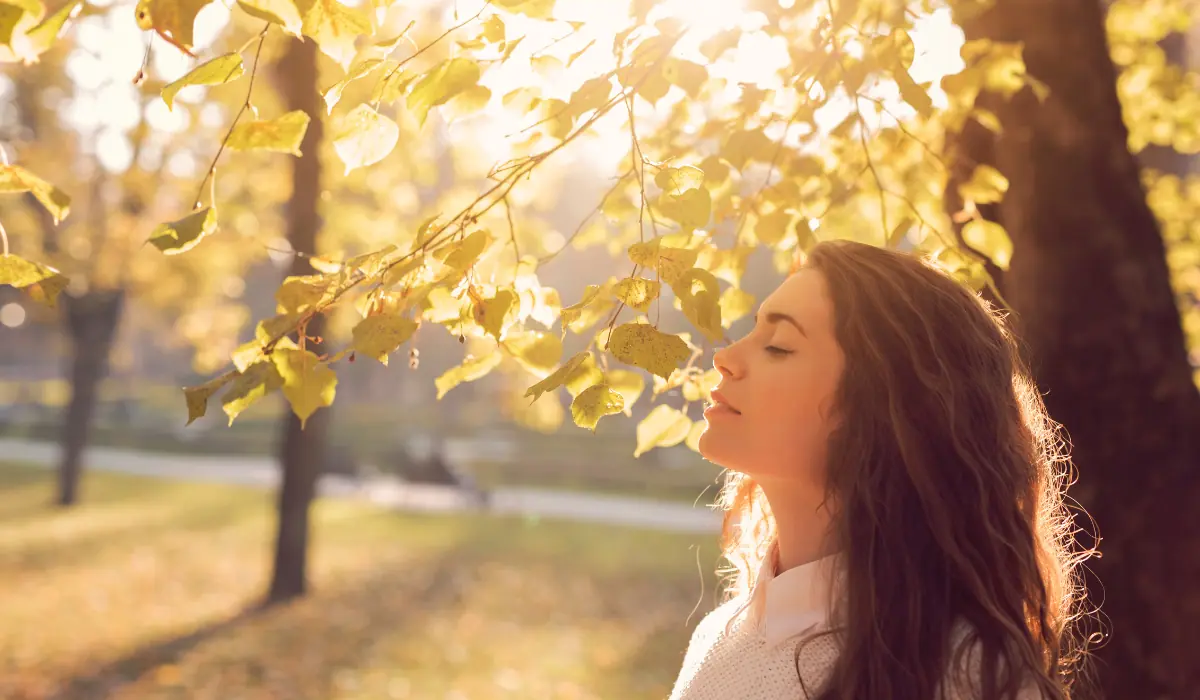 Jeune femme dans une jolie forêt un soir d'automne