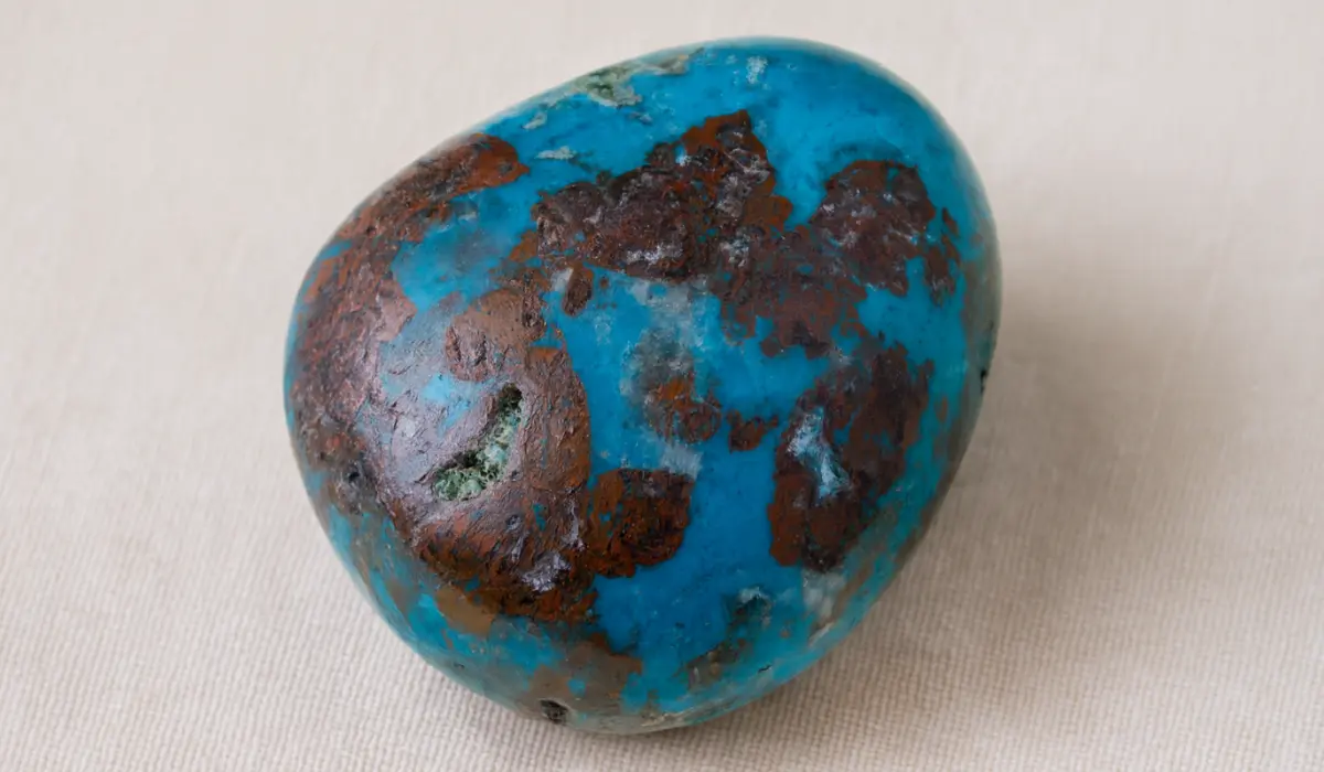 chrysocolle roulée