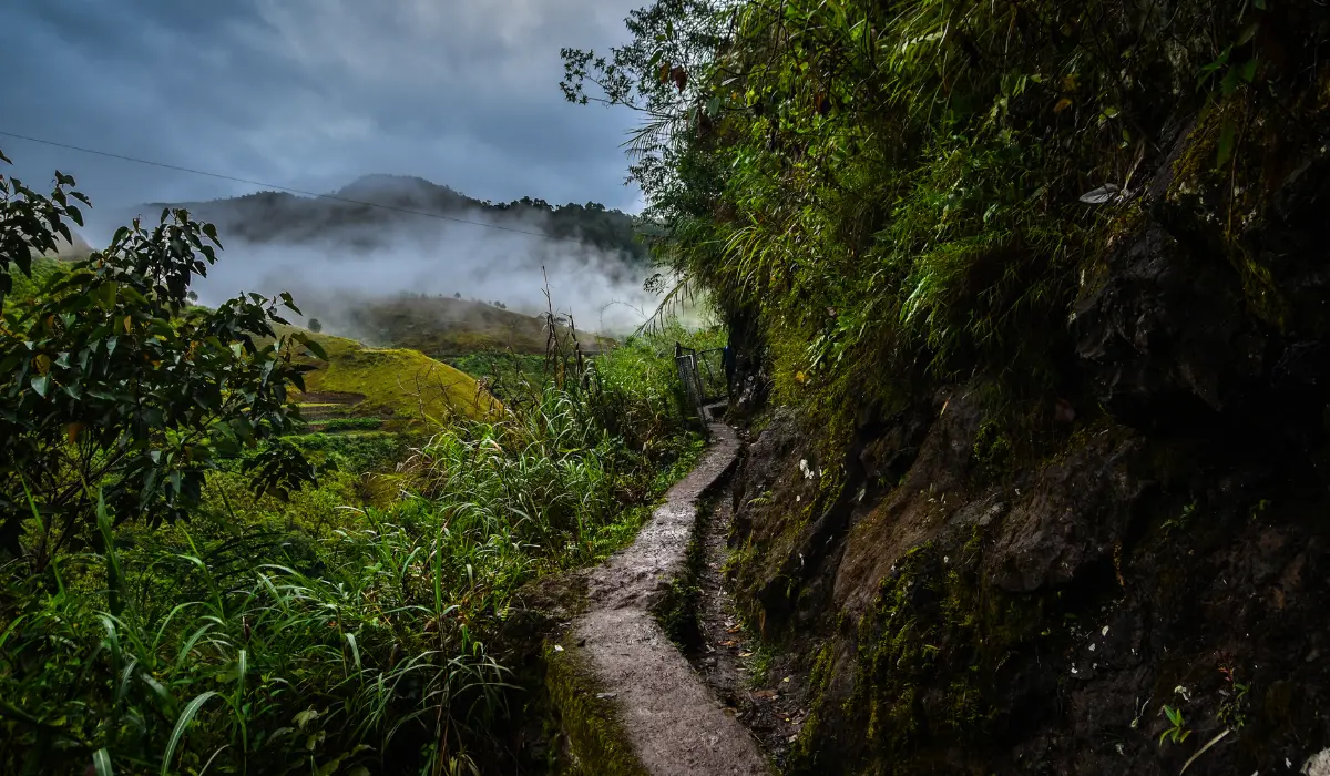chemin étroit