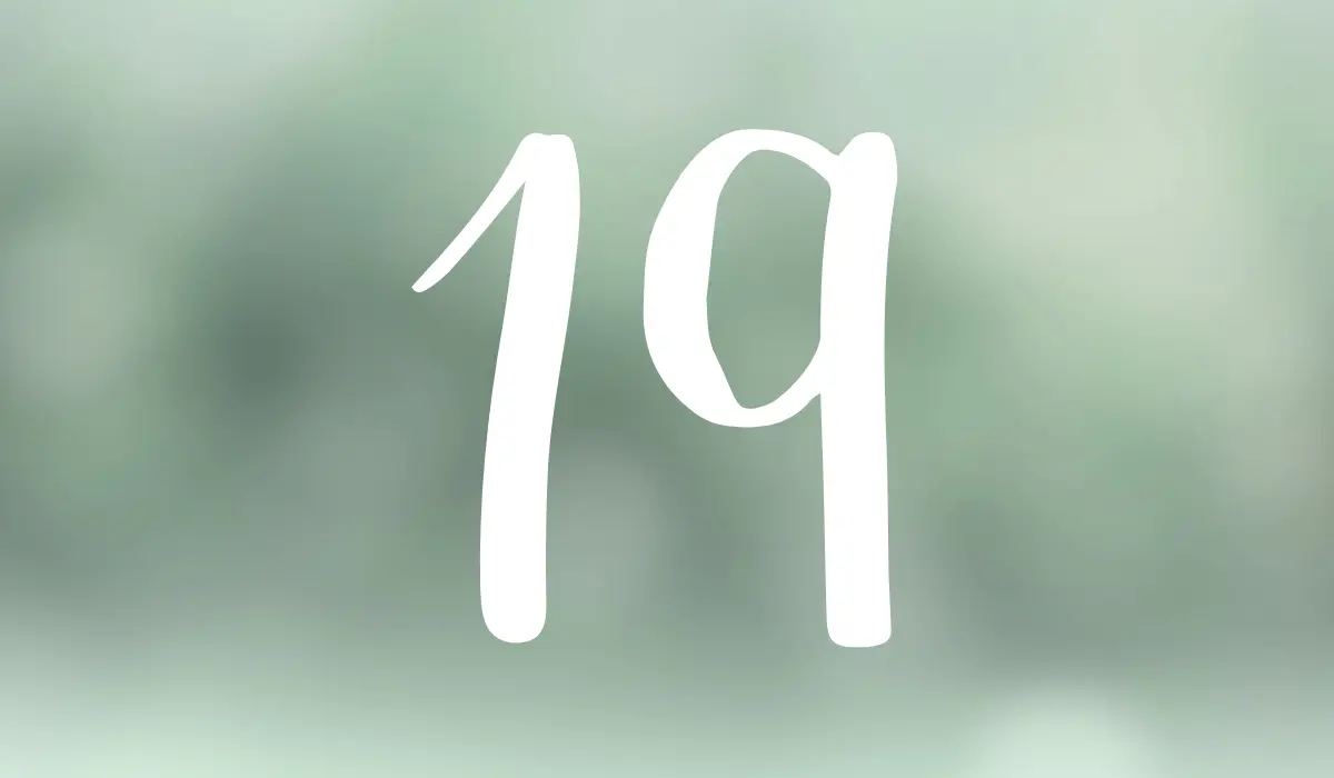 19 en numérologie