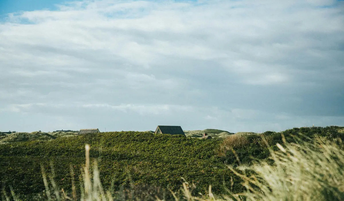 Un paysage scandinave