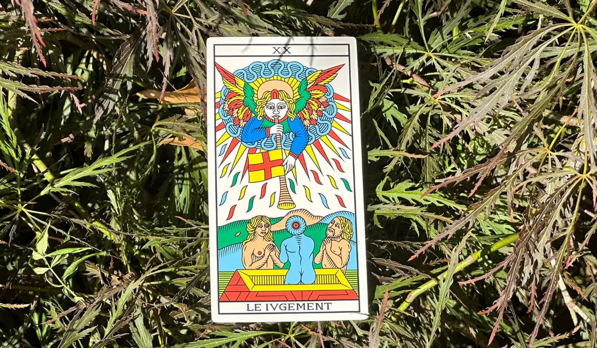 Le Jugement du tarot de Marseille dans un érable