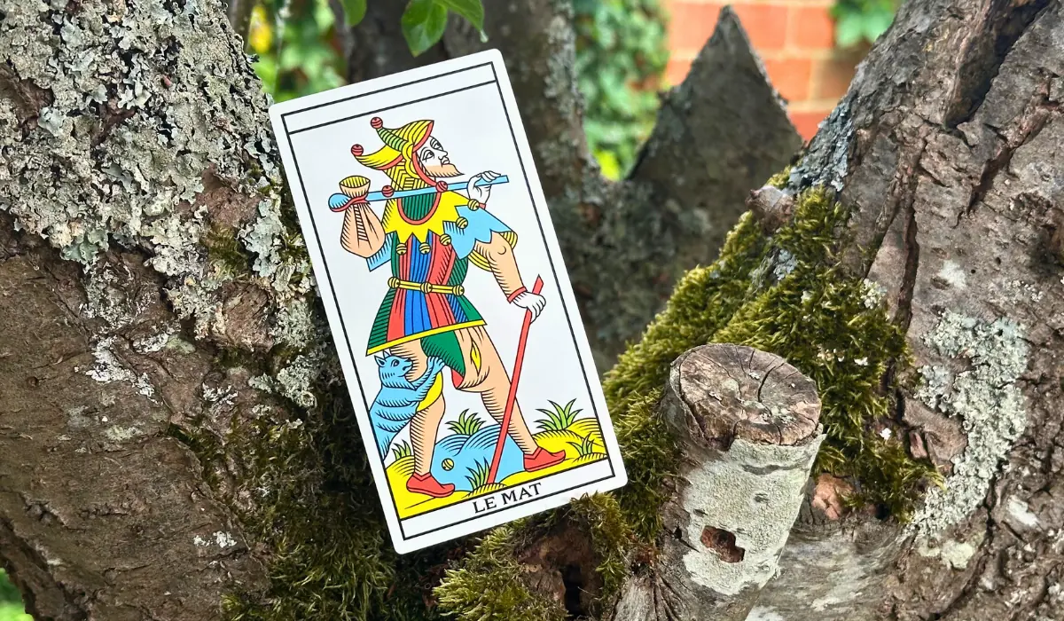 L'arcane du Mat posé dans un arbre
