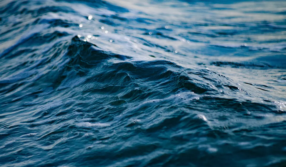 gros plan sur une vague