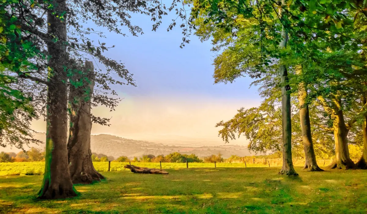 paysage du Cotswolds
