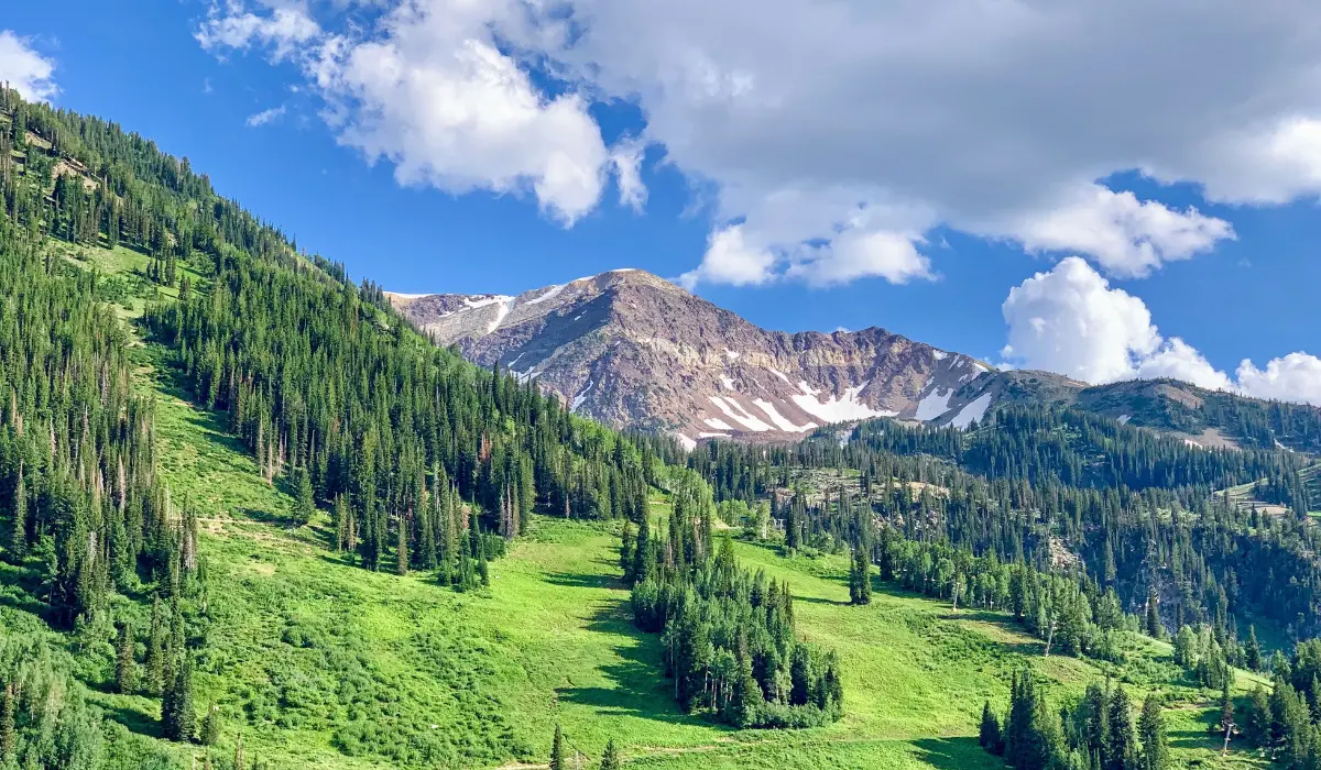 Un paysage de l'Utah illustrant la force vitale de 98